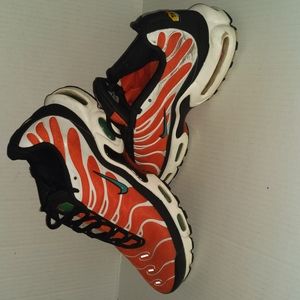 Nike Air Max Plus TN Orange and Teal